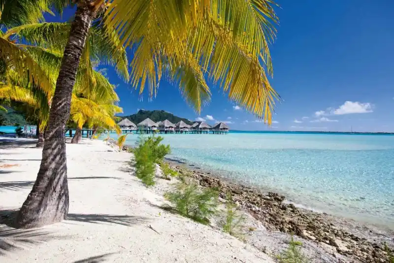 Fototapeta na flizelinie MS-5-3243 Plaża na Bora Bora 375 x 250 cm Darmowy zwrot