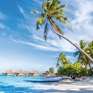 Hit sprzedaży Fototapeta na flizelinie MS-5-3248 Palma na Bora Bora 375 x 250 cm