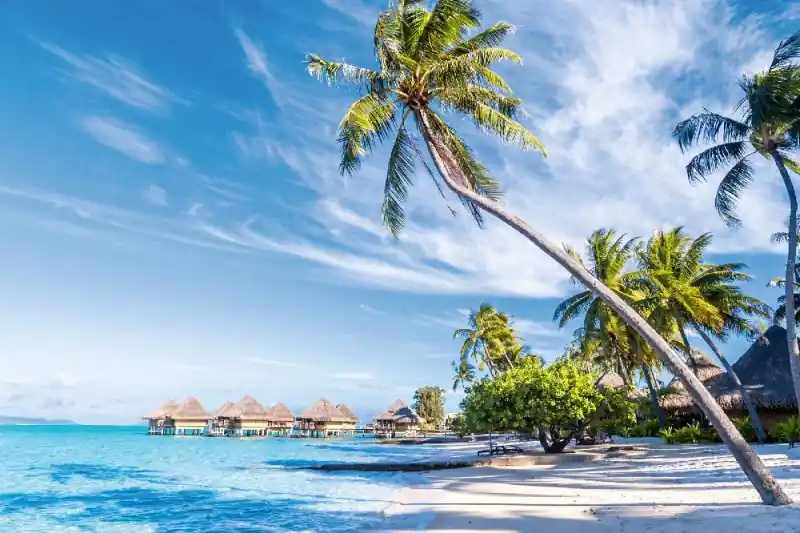 Hit sprzedaży Fototapeta na flizelinie MS-5-3248 Palma na Bora Bora 375 x 250 cm