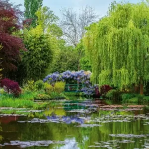 FotoTAPETA na flizelinie 5035-8 Monets Garden in France Bestseller