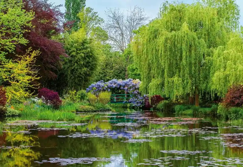 FotoTAPETA na flizelinie 5035-8 Monets Garden in France Bestseller