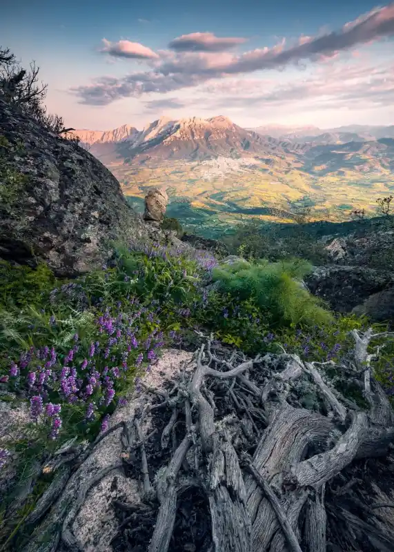 Bezpieczna płatność FotoTAPETA na flizelinie SHX4-130 Flowering Tales
