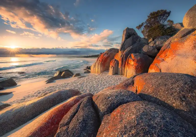 Darmowy zwrot FotoTAPETA na flizelinie SHX8-132 Bay of Fires