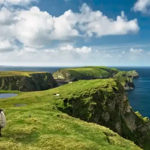 Ekspresowa dostawa FotoTAPETA na flizelinie SHX9-040 Green Ireland