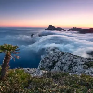 Ograniczona ilość FotoTAPETA na flizelinie SHX9-049 Island Paradise