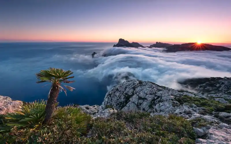 Ograniczona ilość FotoTAPETA na flizelinie SHX9-049 Island Paradise