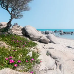 FotoTAPETA na flizelinie SHX9-056 Mediterrane Traume Ostatnia szansa