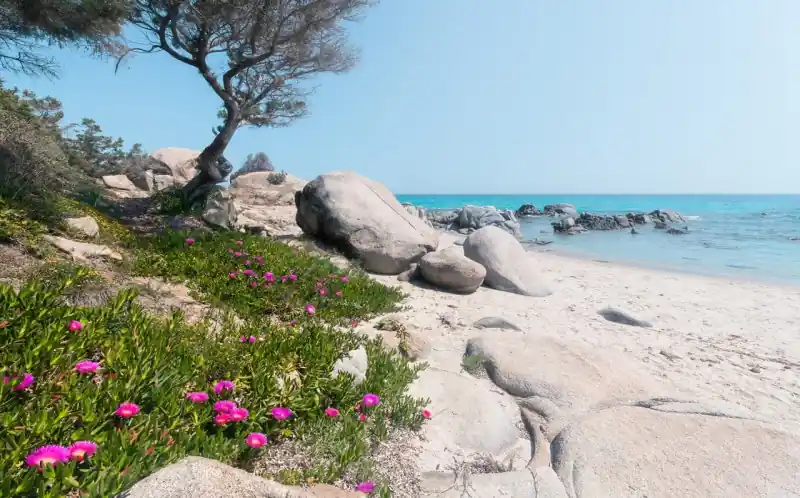 FotoTAPETA na flizelinie SHX9-056 Mediterrane Traume Ostatnia szansa