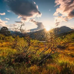 Oferta limitowana FotoTAPETA na flizelinie SHX9-060 Norwegische Herbstwelten