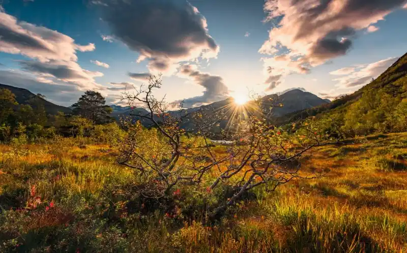 Oferta limitowana FotoTAPETA na flizelinie SHX9-060 Norwegische Herbstwelten
