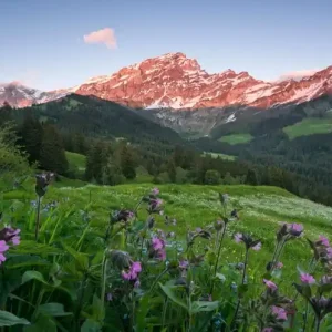 FotoTAPETA na flizelinie SHX9-069 Picturesque Switzerland Obniżka ceny