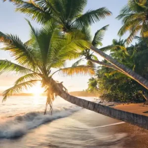 FotoTAPETA na flizelinie SHX9-082 Strandgeheimnis Tylko dziś
