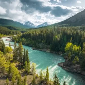 FotoTAPETA na flizelinie SHX9-095 Wild Canada Darmowy zwrot
