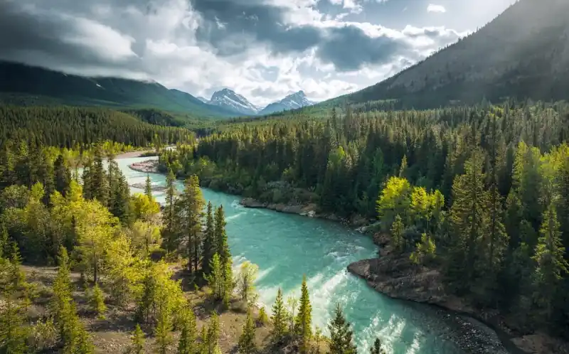 FotoTAPETA na flizelinie SHX9-095 Wild Canada Darmowy zwrot