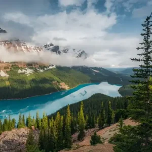 Zamów dziś FotoTAPETA na flizelinie SHX9-098 Wonderland Canada