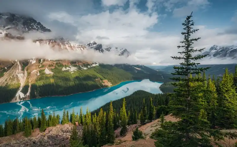 Zamów dziś FotoTAPETA na flizelinie SHX9-098 Wonderland Canada
