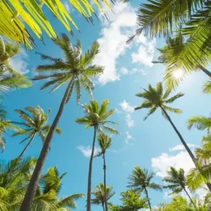 FotoTAPETA na flizelinie SHX9-108 Coconut Heaven Szybka dostawa