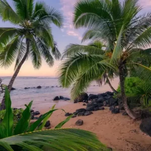 Tylko dziś FotoTAPETA na flizelinie SHX9-116 Hawaiian Dreams