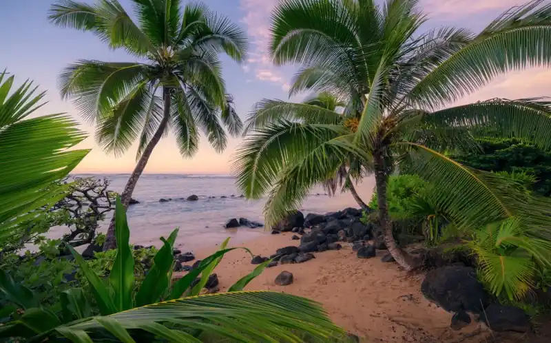 Tylko dziś FotoTAPETA na flizelinie SHX9-116 Hawaiian Dreams