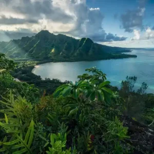 Nowość FotoTAPETA na flizelinie SHX9-117 Jurassic Island