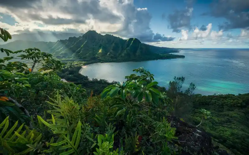 Nowość FotoTAPETA na flizelinie SHX9-117 Jurassic Island