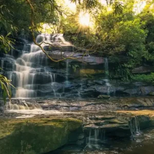 FotoTAPETA na flizelinie SHX9-131 Golden Falls Wyjątkowa oferta