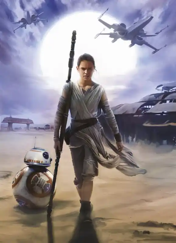 FotoTAPETA 4-448 STAR WARS REY Darmowa dostawa