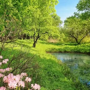 FotoTAPETA Flizelinowa 5408-4 Park in the Spring Premium