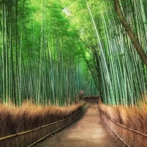 Kup teraz FotoTAPETA Flizelinowa 5460-4 Bamboo Grove Kyoto
