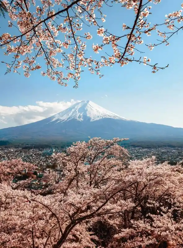 FotoTAPETA Flizelinowa 5492-4 Mount Fuji in Japan Wyjątkowa oferta