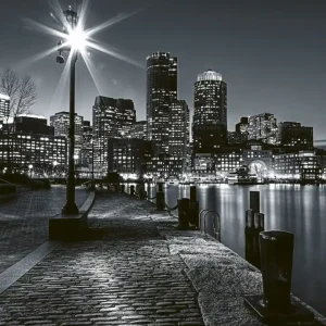 Fototapeta na flizelinie MS-3-0016 BOSTON Ograniczona ilość