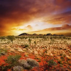 Nowy Fototapeta na flizelinie MS-3-0050 AUSTRALIAN LANDSCAPE