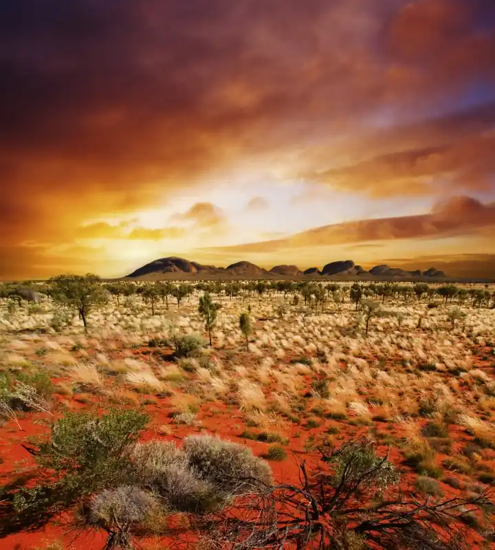 Nowy Fototapeta na flizelinie MS-3-0050 AUSTRALIAN LANDSCAPE