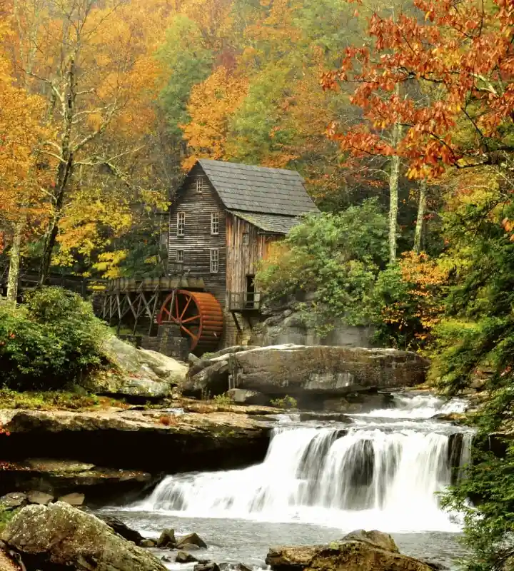 Fototapeta na flizelinie MS-3-0056 GRIST MILL Oferta czasowa