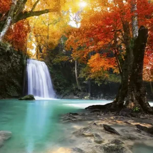 Fototapeta na flizelinie MS-3-0083 DEEP FORESTWATERFALL Ostatnia szansa