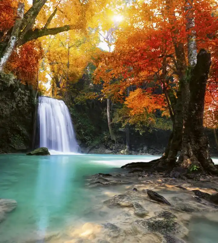 Fototapeta na flizelinie MS-3-0083 DEEP FORESTWATERFALL Ostatnia szansa