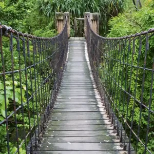 Ekspresowa dostawa Fototapeta na flizelinie MS-3-0084 FOOTBRIDGE
