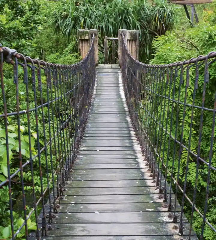 Ekspresowa dostawa Fototapeta na flizelinie MS-3-0084 FOOTBRIDGE