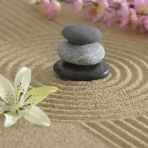 Fototapeta na flizelinie MS-3-0117 ZEN GARDEN Taniej