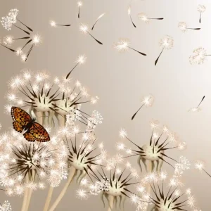 Fototapeta na flizelinie MS-3-0148 DANDELIONS AND BUTTERFLY Oferta