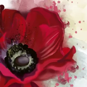 Do wyczerpania zapasów Fototapeta na flizelinie MS-3-0150 POPPY