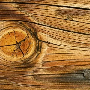 Wysoka jakość Fototapeta na flizelinie MS-3-0157 WOOD KNOT