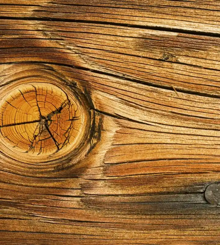 Wysoka jakość Fototapeta na flizelinie MS-3-0157 WOOD KNOT