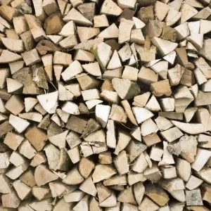 Fototapeta na flizelinie MS-3-0161 TIMBER LOGS Tani
