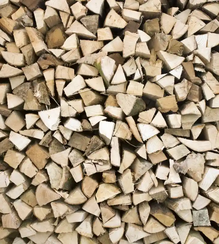 Fototapeta na flizelinie MS-3-0161 TIMBER LOGS Tani