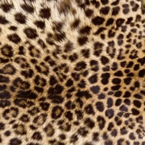 Bezpieczna płatność Fototapeta na flizelinie MS-3-0184 LEOPARD SKIN