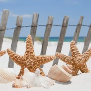 Wyjątkowa oferta Fototapeta na flizelinie MS-3-0206 STARFISH