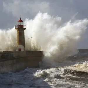 Fototapeta na flizelinie MS-3-0207 LIGHTHOUSE Kup teraz