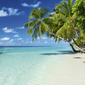 Fototapeta na flizelinie MS-3-0215 PARADISE BEACH Cena promocyjna
