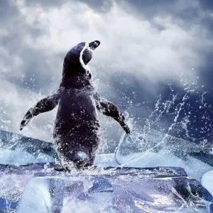 Fototapeta na flizelinie MS-3-0219 PENGUIN Hit sprzedaży